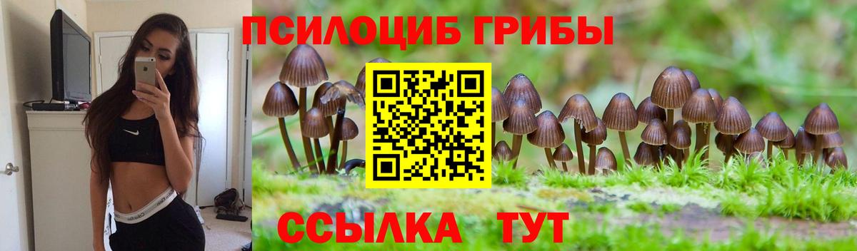 Галлюциногенные грибы Cubensis Белорецк